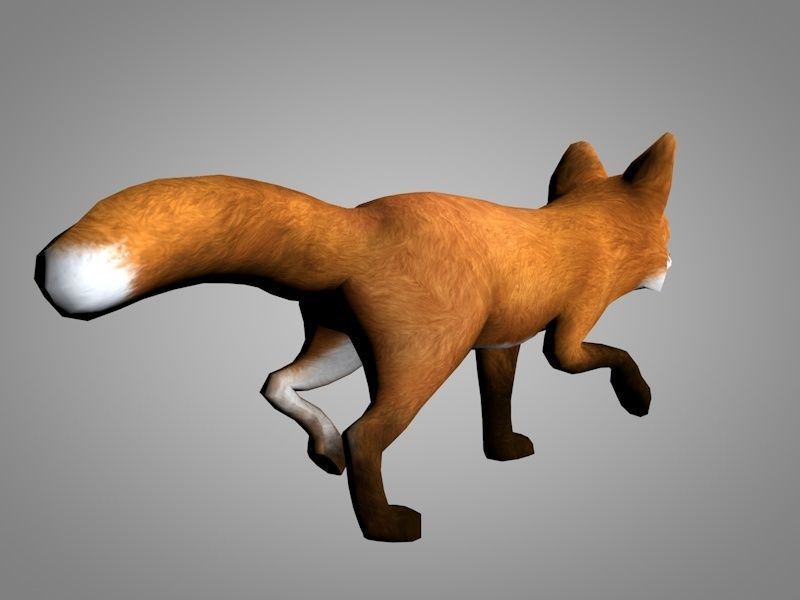 Fox or Foxes Low-poly 3D model_2