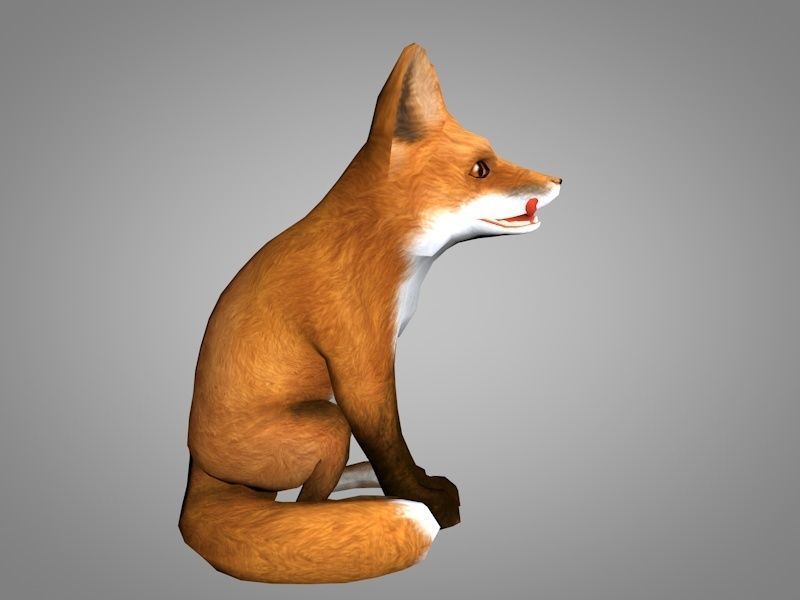 Fox or Foxes Low-poly 3D model_3