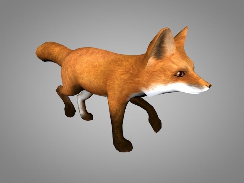 Fox or Foxes Low-poly 3D model_1