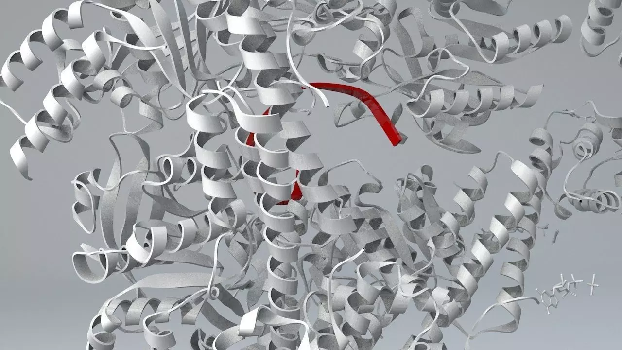 DNA Helicase 3D model