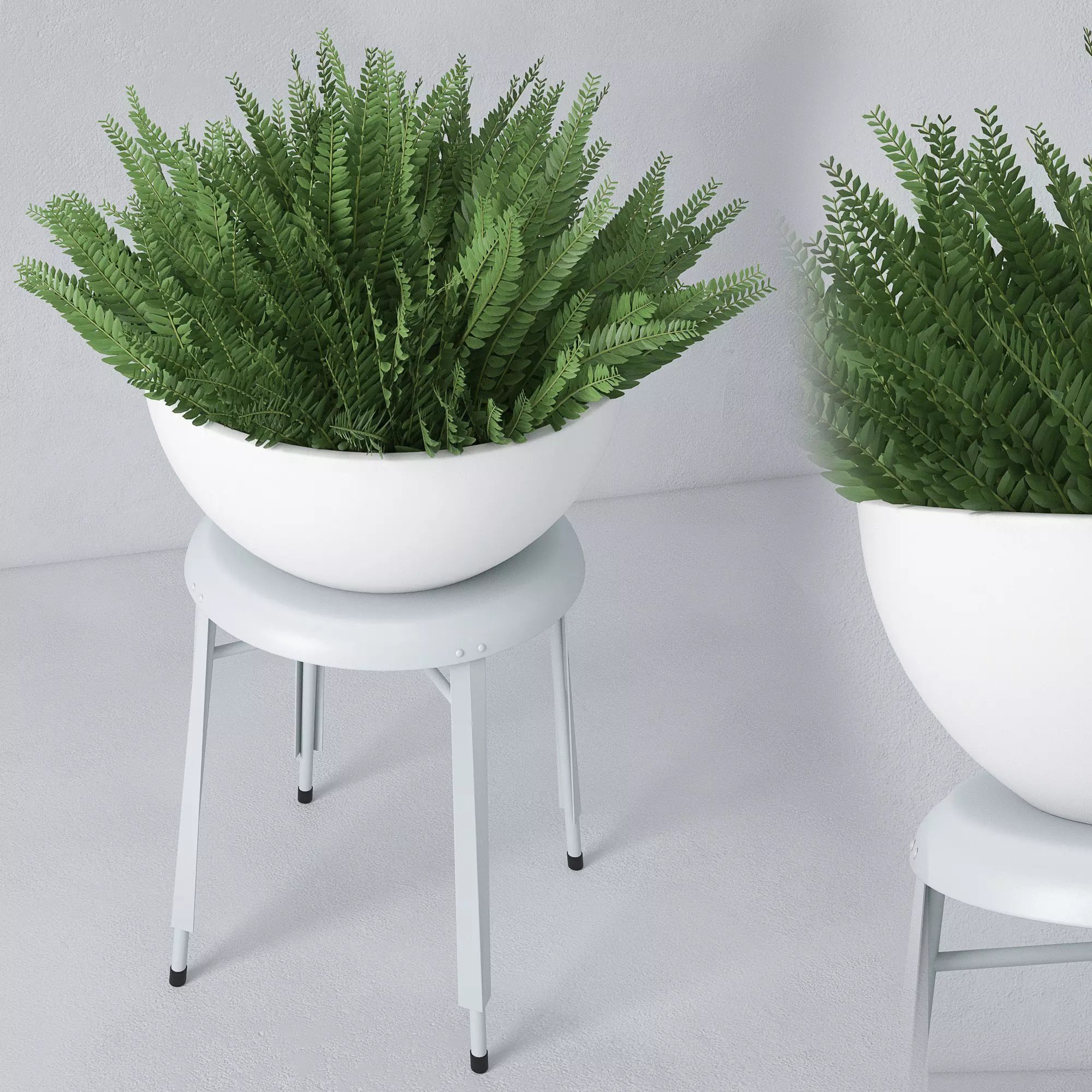 Houseplant 22 3D model_0