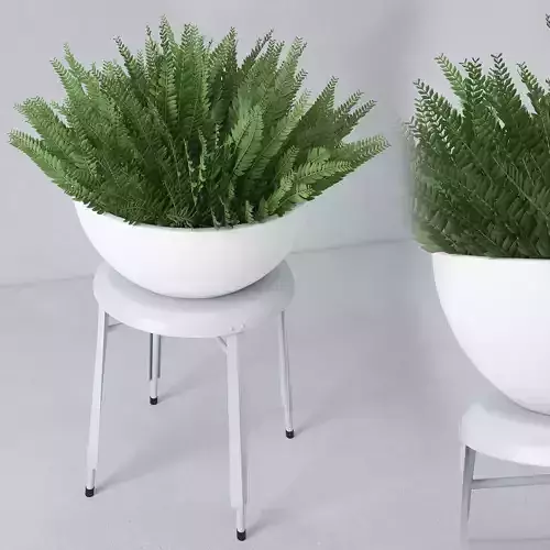 Houseplant 22 3D model