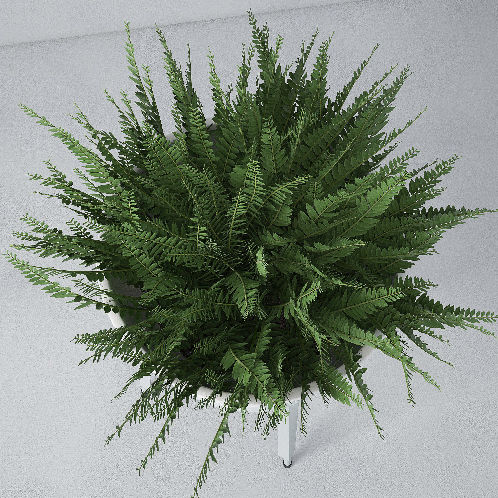 Houseplant 22 3D model_2