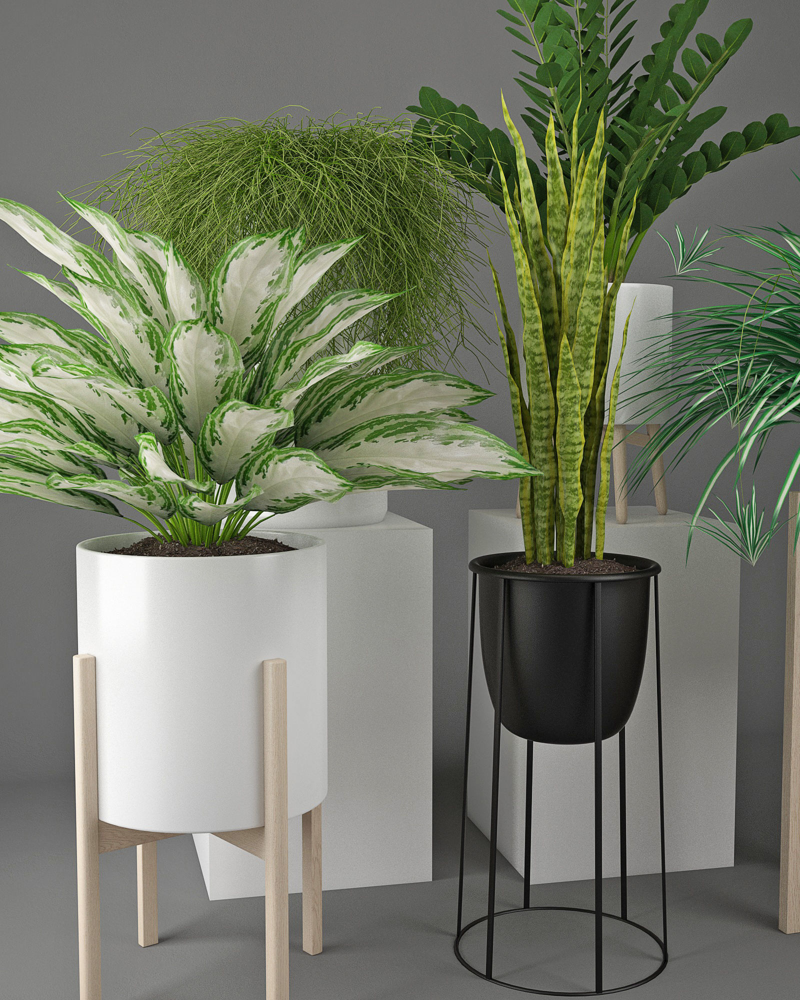 Houseplant 23 3D model_1