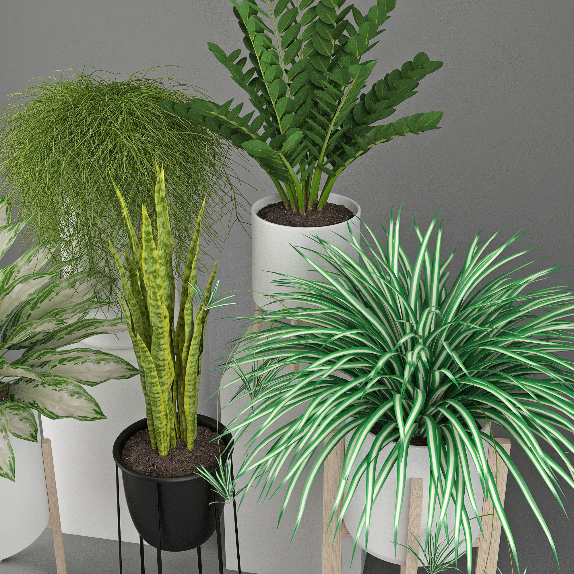 Houseplant 23 3D model_2