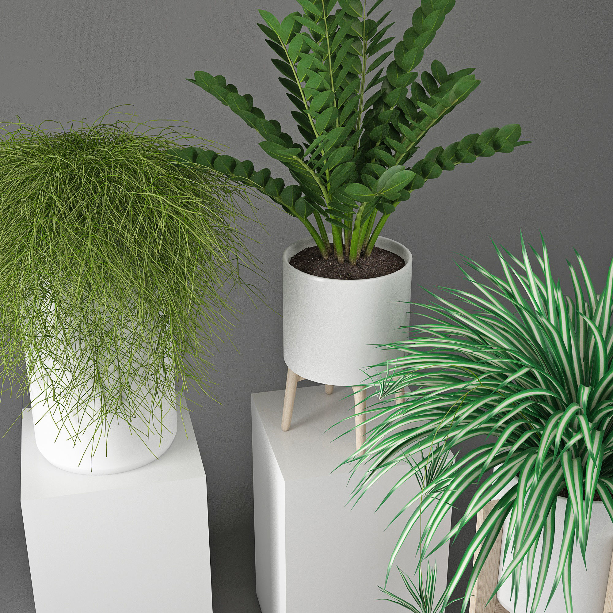 Houseplant 23 3D model_3