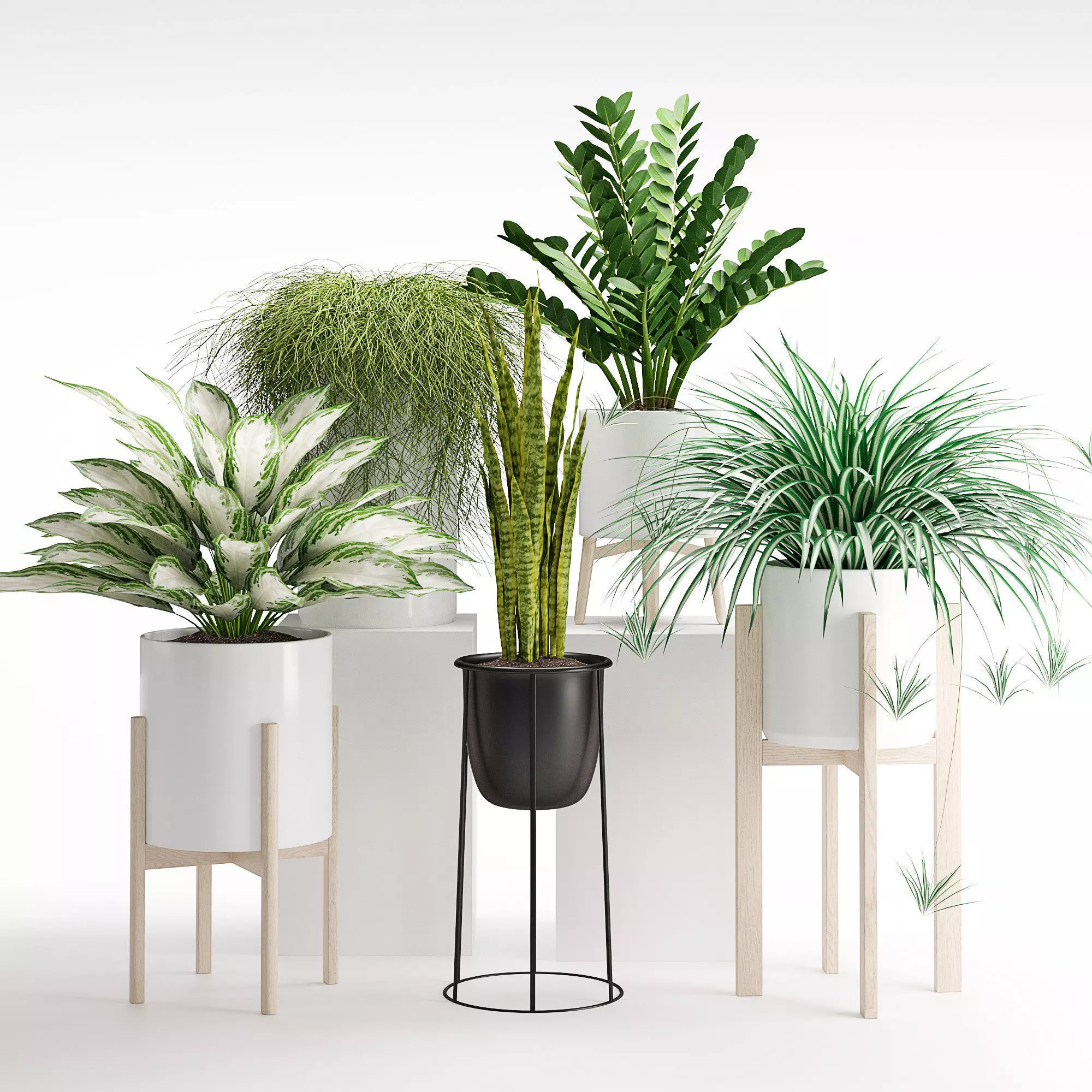 Houseplant 23 3D model_0