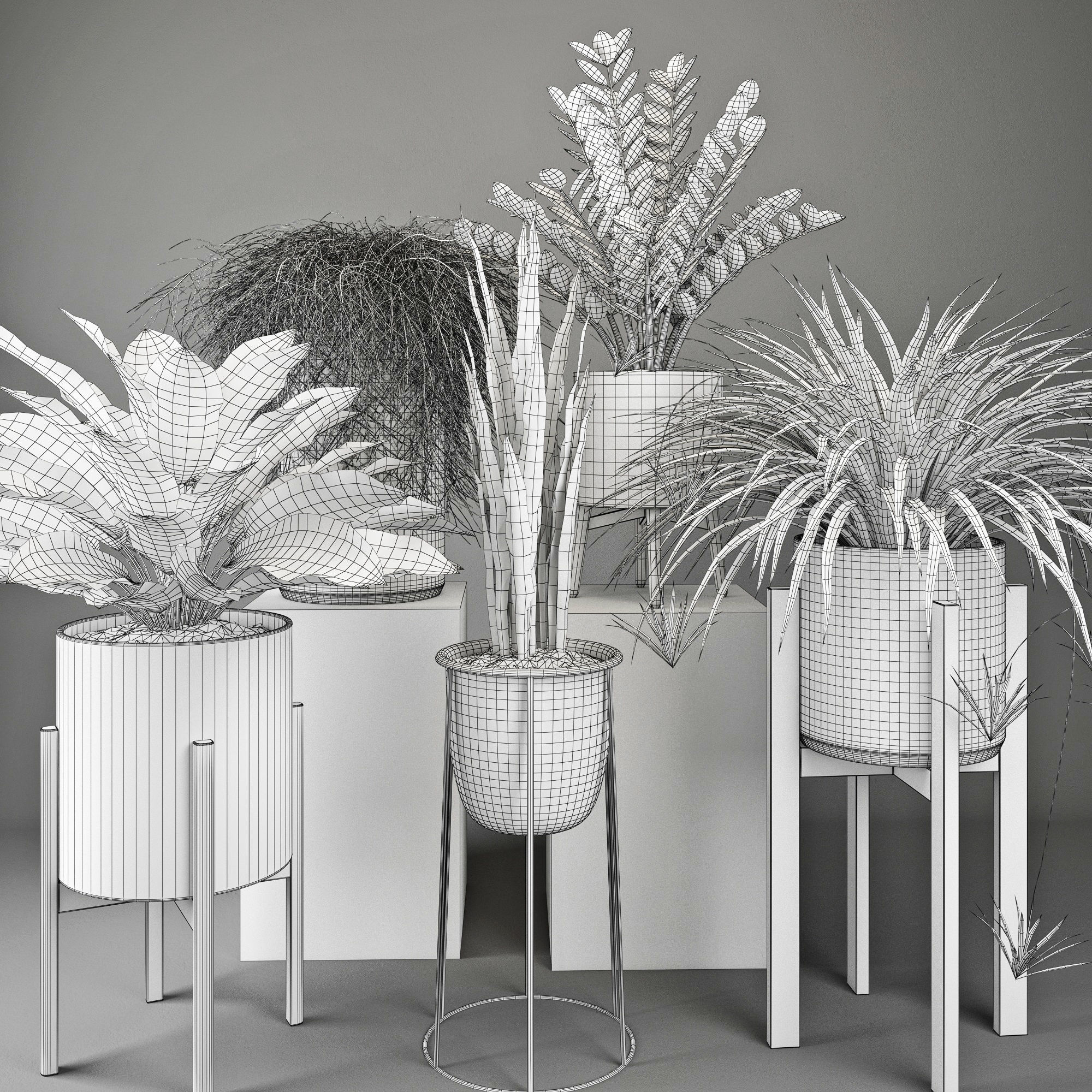 Houseplant 23 3D model_4