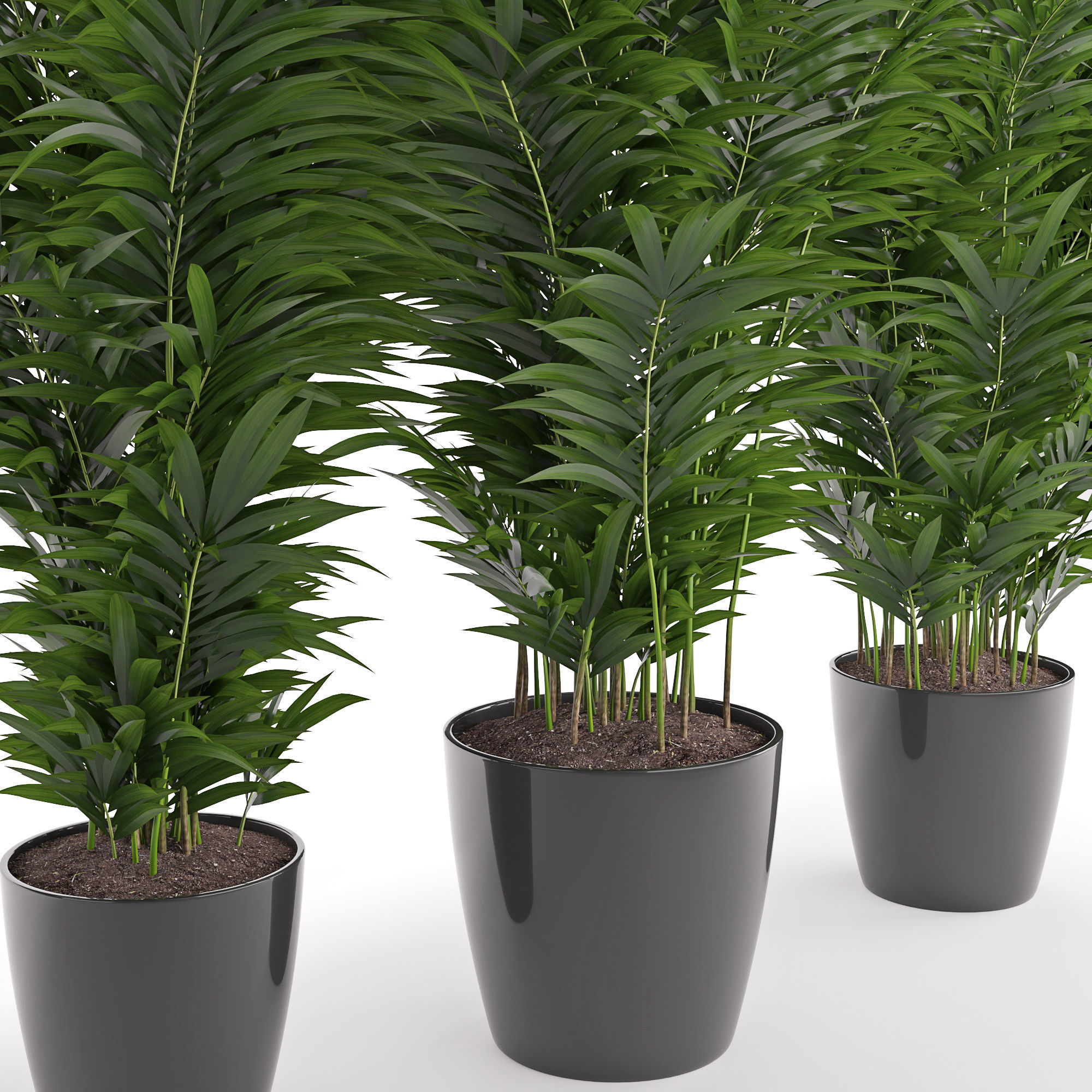 Houseplant 24 3D model_1