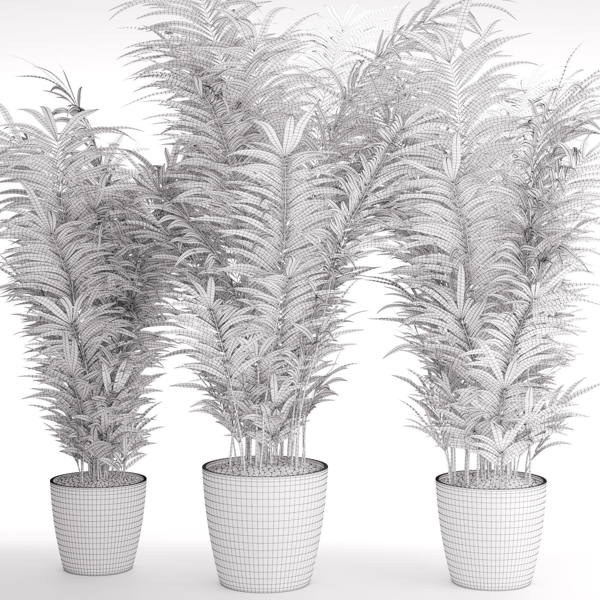 Houseplant 24 3D model_2