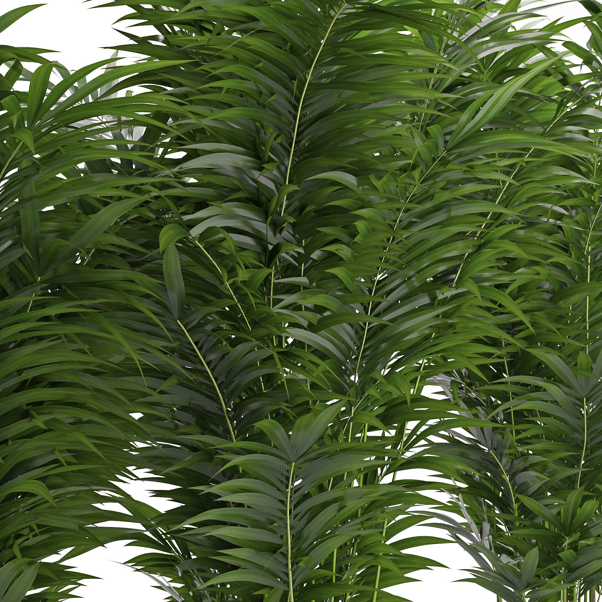Houseplant 24 3D model_3