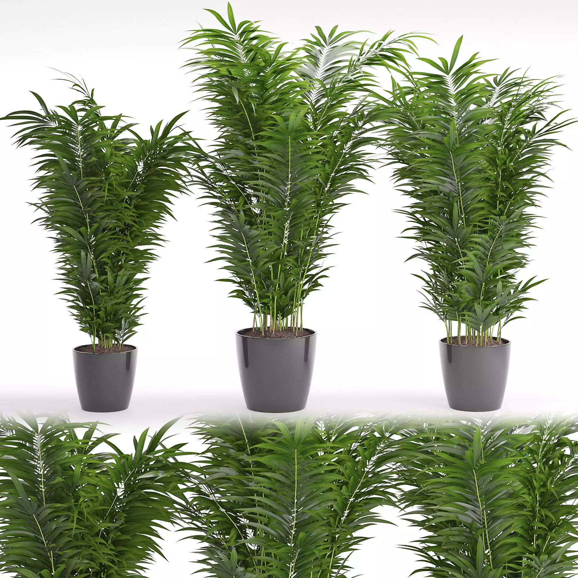 Houseplant 24 3D model_0