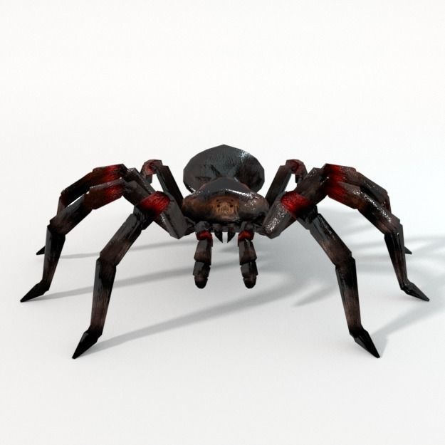 Tarantula spider Low-poly 3D model_1