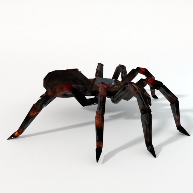 Tarantula spider Low-poly 3D model_3