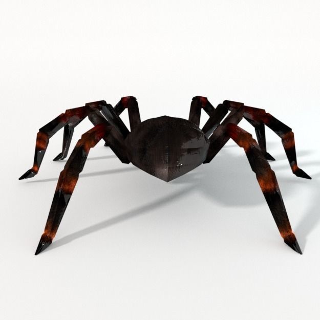 Tarantula spider Low-poly 3D model_5