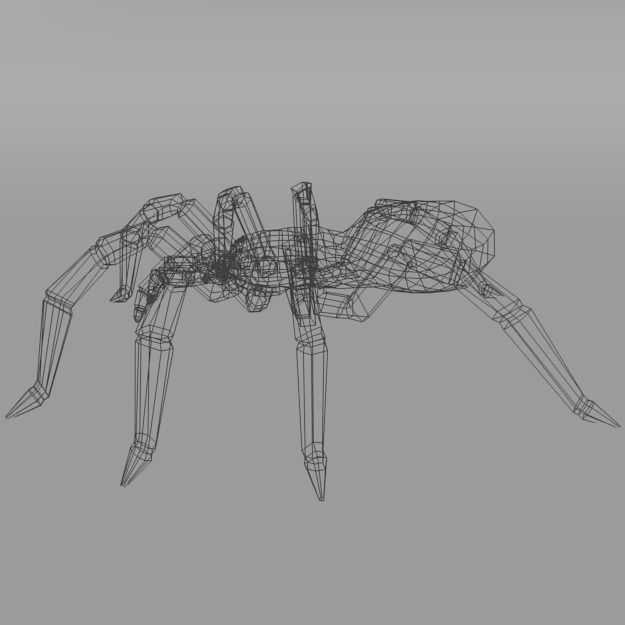 Tarantula spider Low-poly 3D model_6