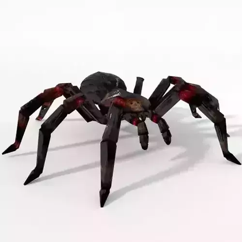 Tarantula spider Low-poly 3D model