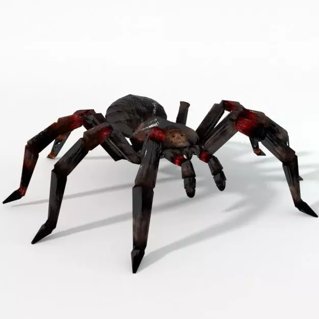 Tarantula spider Low-poly 3D model_0