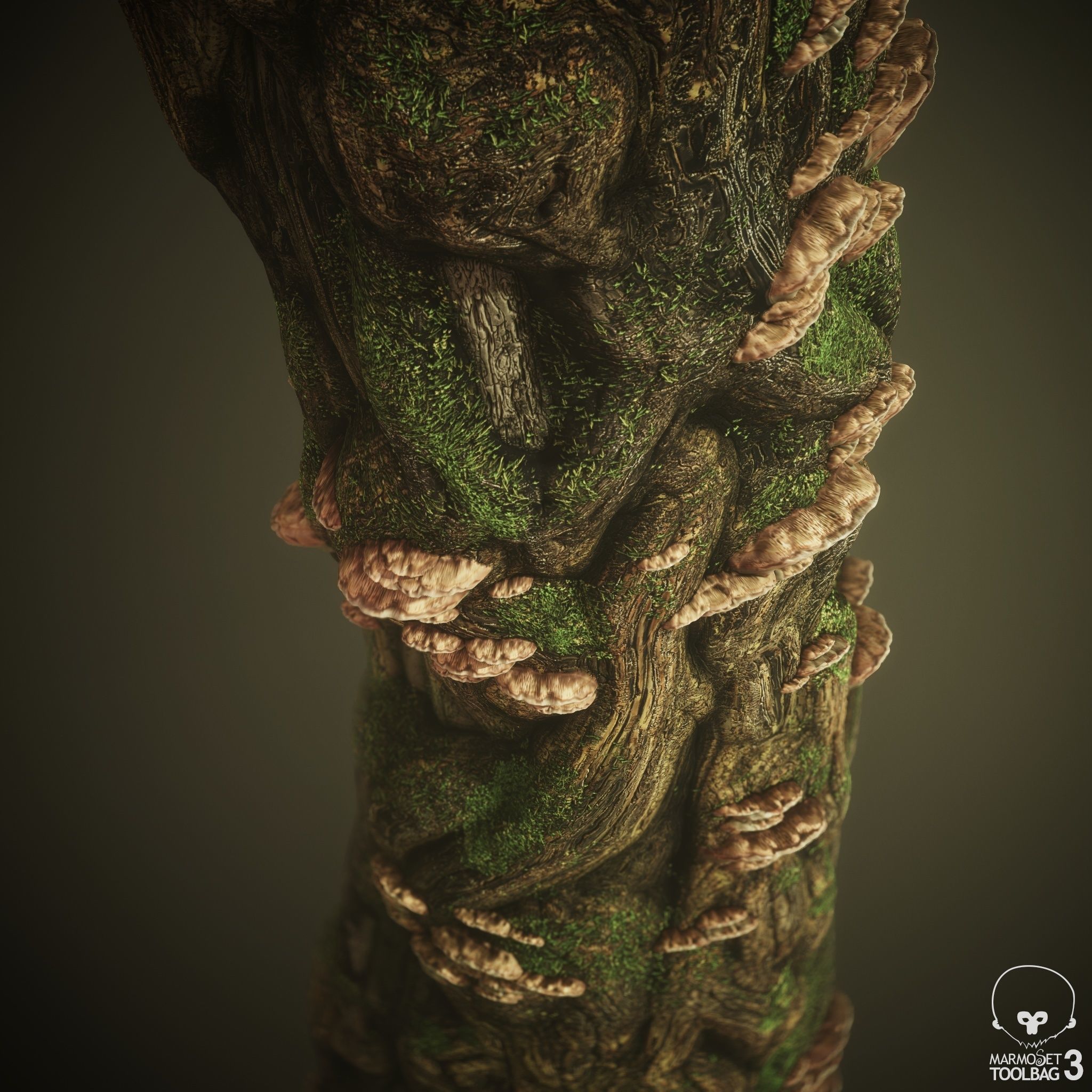 Knotty Tree PBR Tileable Material Texture_7