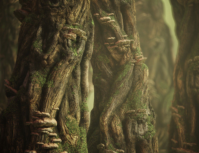 Knotty Tree PBR Tileable Material Texture_2