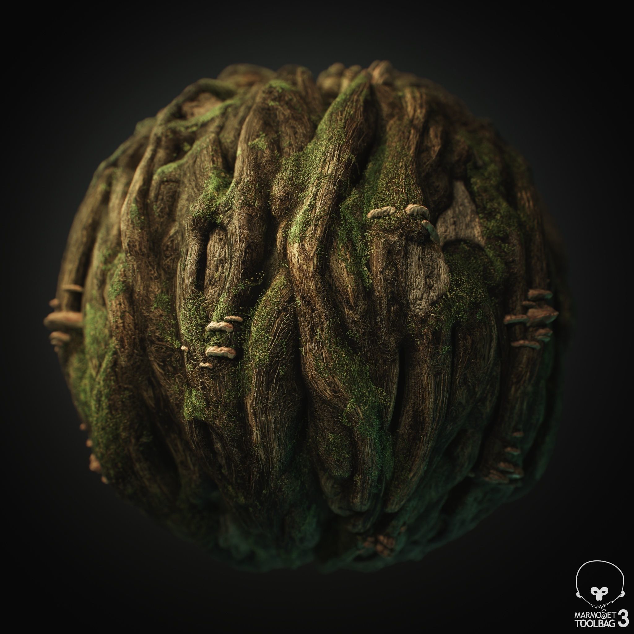 Knotty Tree PBR Tileable Material Texture_5