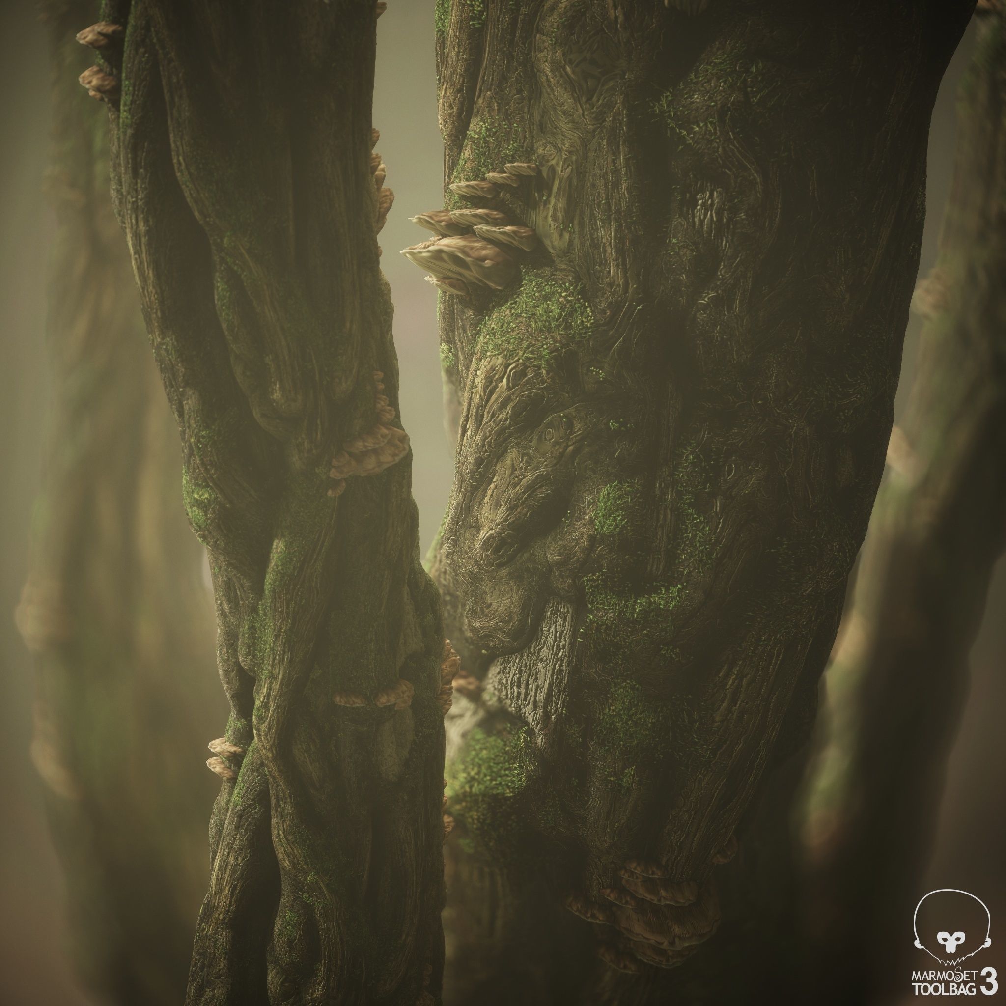 Knotty Tree PBR Tileable Material Texture_6