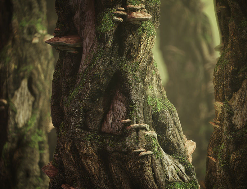 Knotty Tree PBR Tileable Material Texture_3