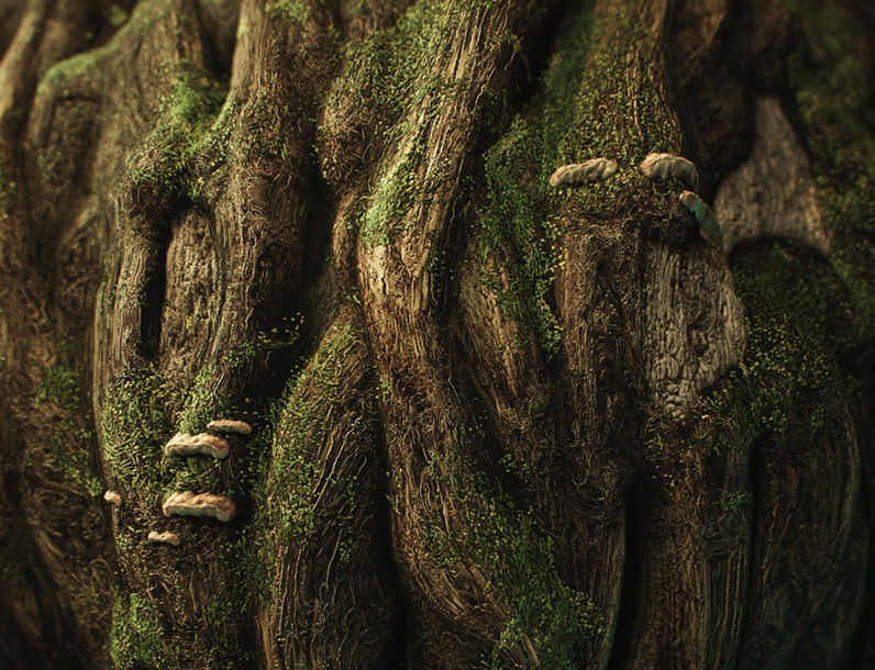 Knotty Tree PBR Tileable Material Texture_1