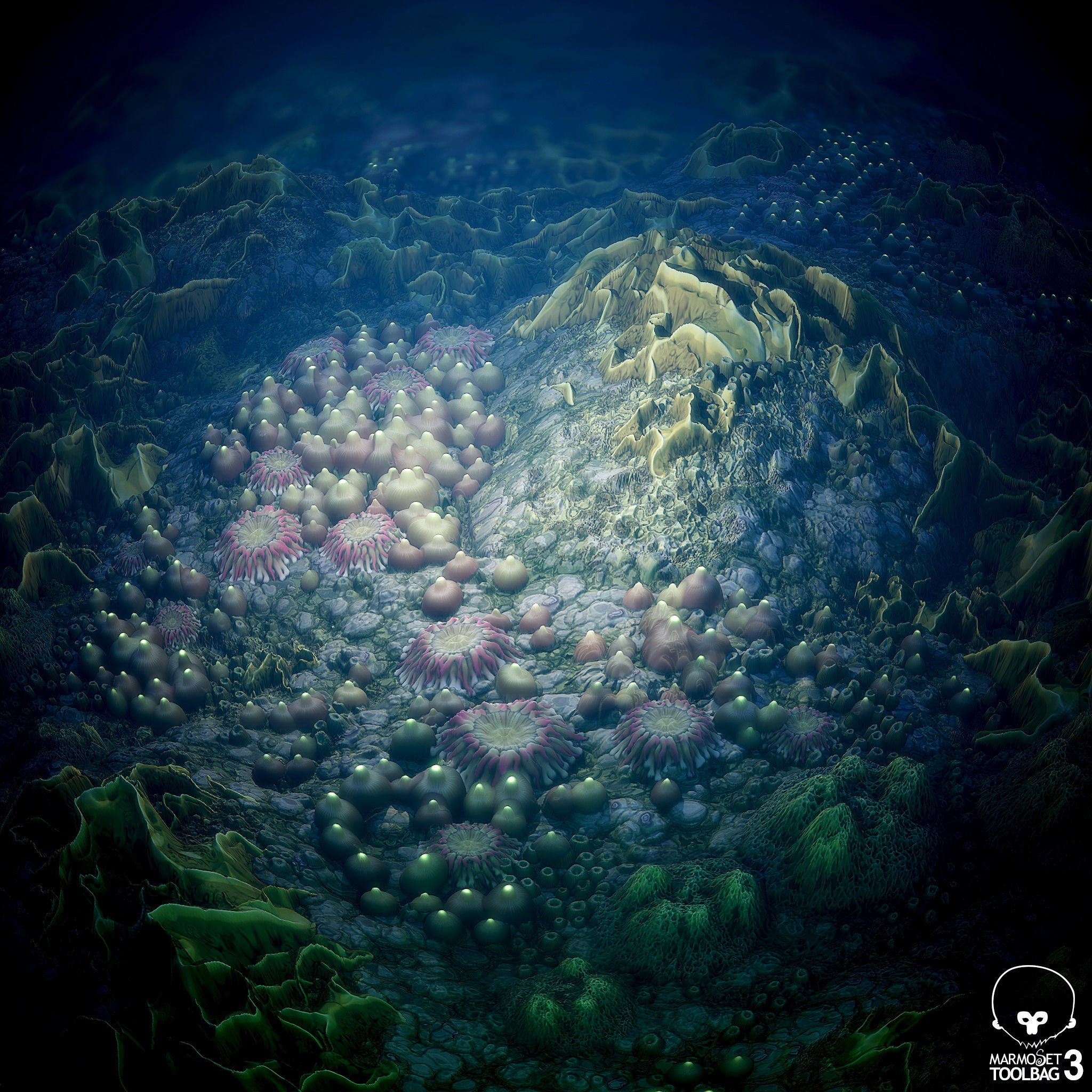 Coral Reef PBR Tileable Material Texture_7
