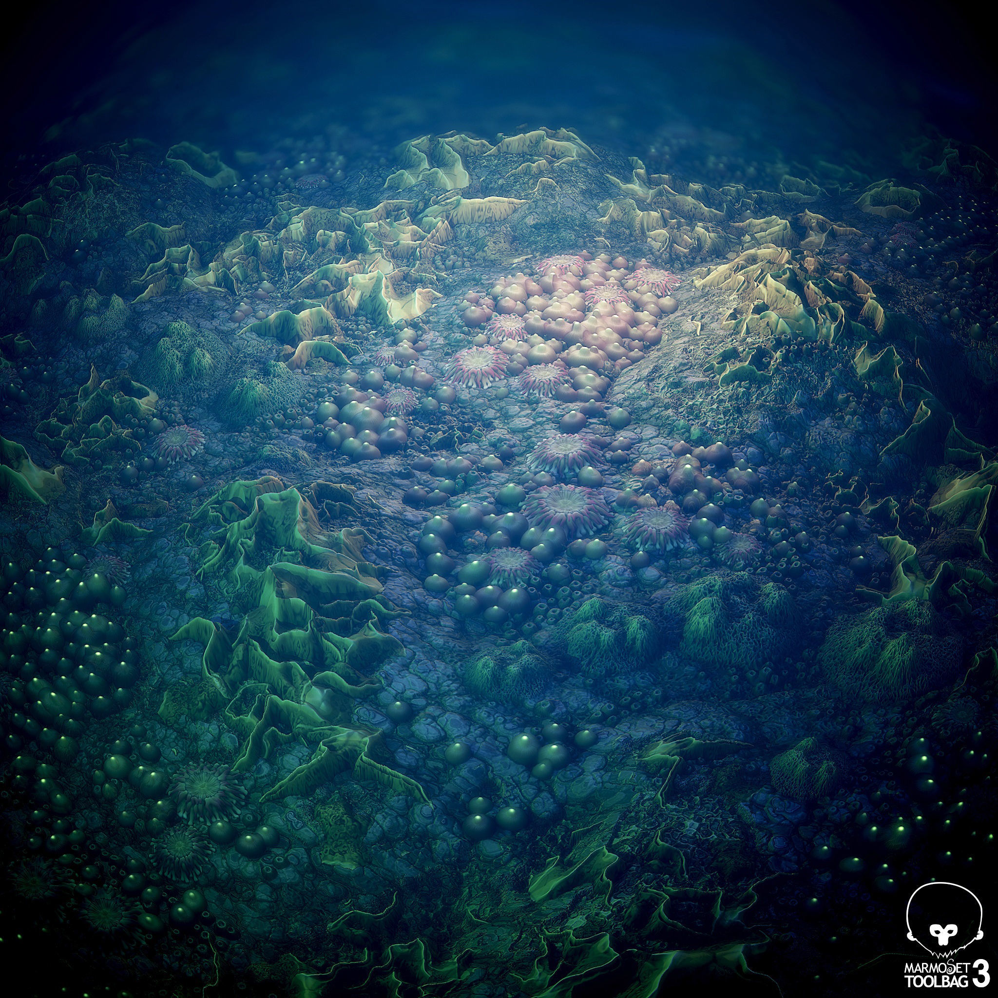 Coral Reef PBR Tileable Material Texture_8
