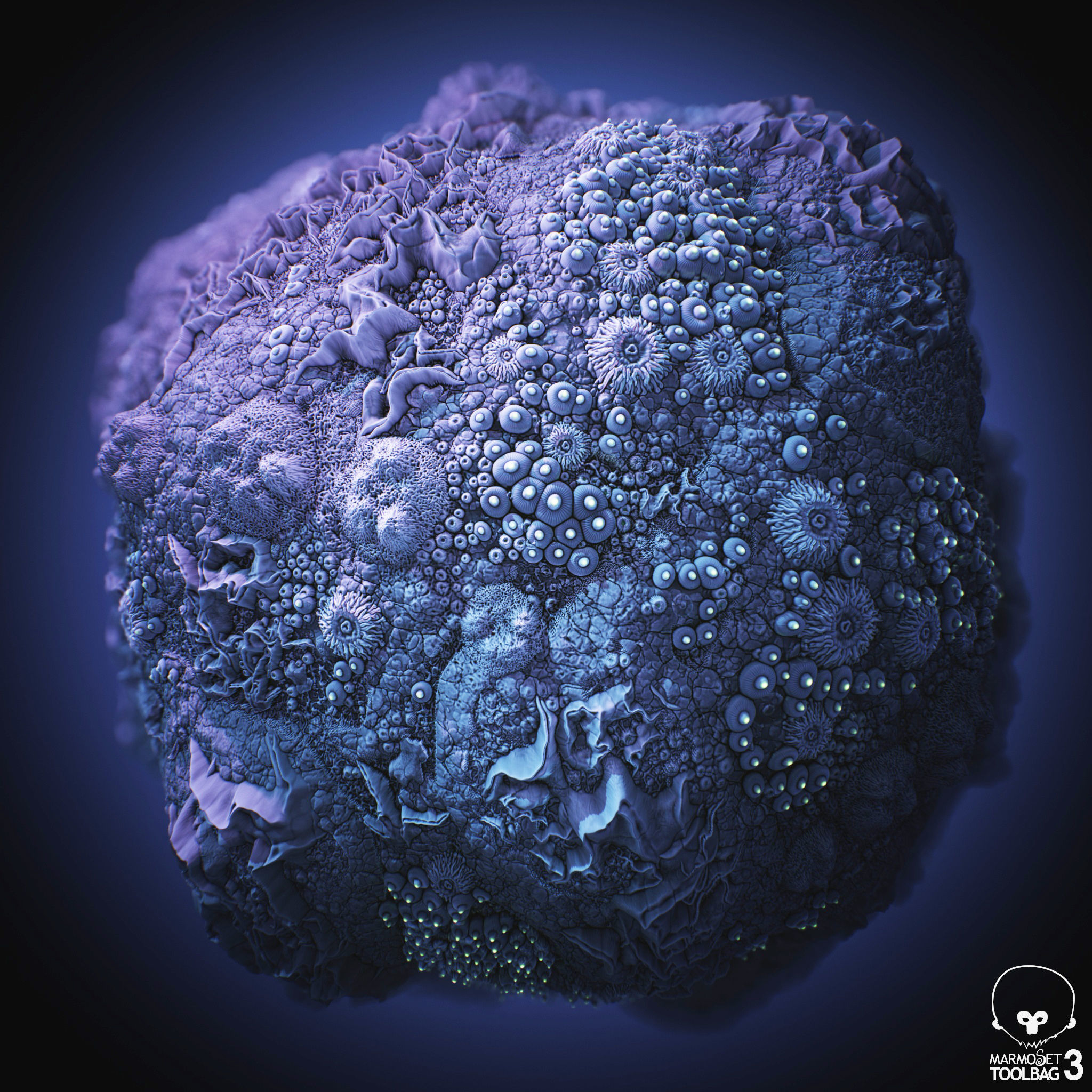 Coral Reef PBR Tileable Material Texture_6