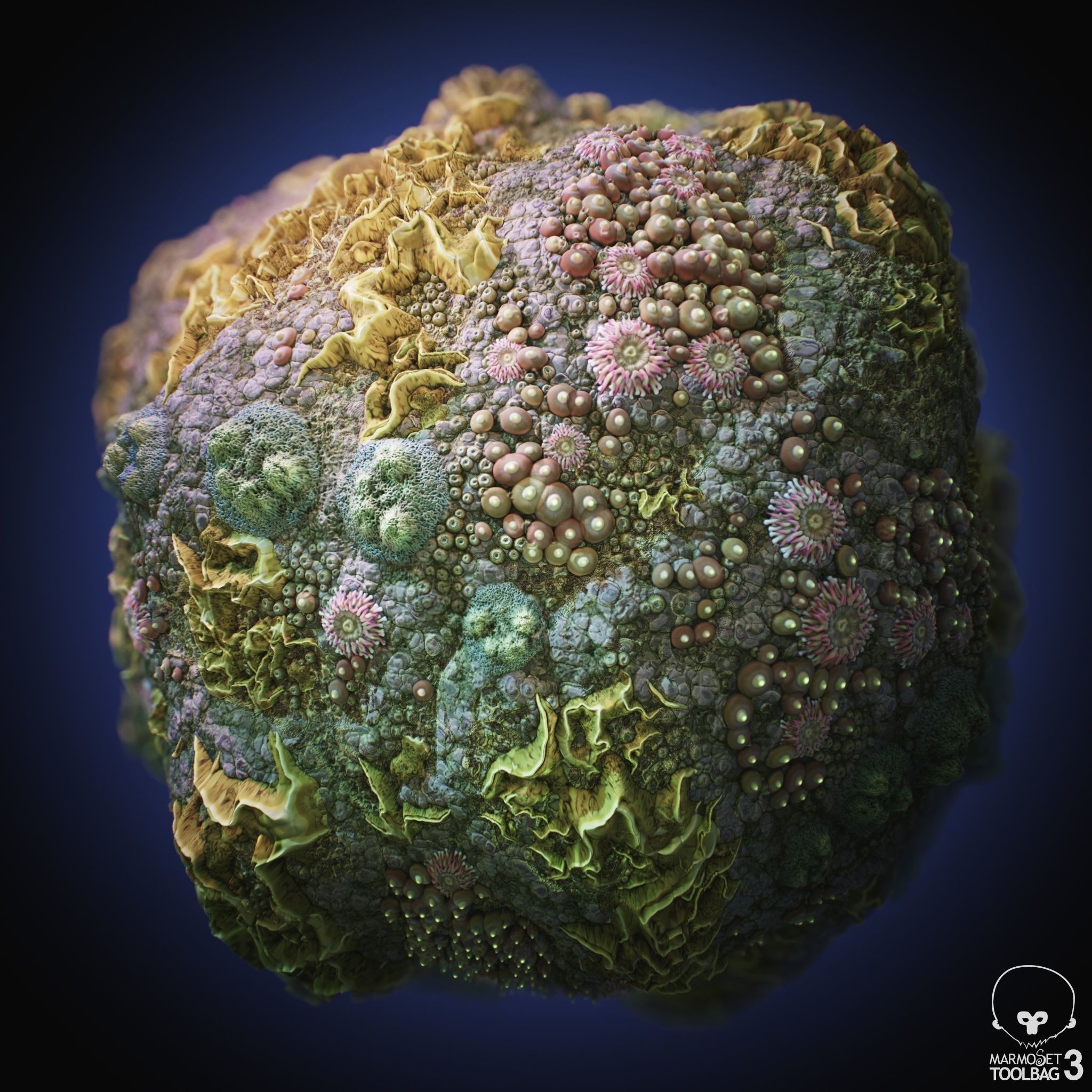 Coral Reef PBR Tileable Material Texture_5