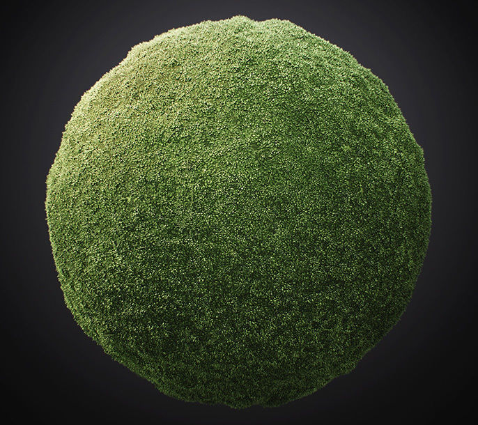 Moss PBR Tileable Material Texture_3