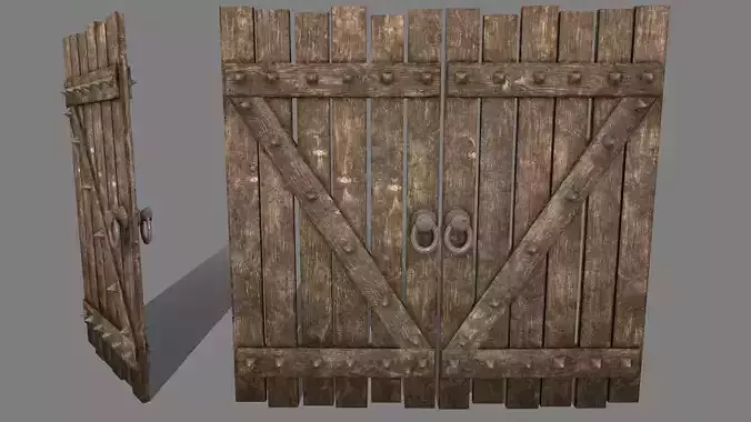Medieval Door