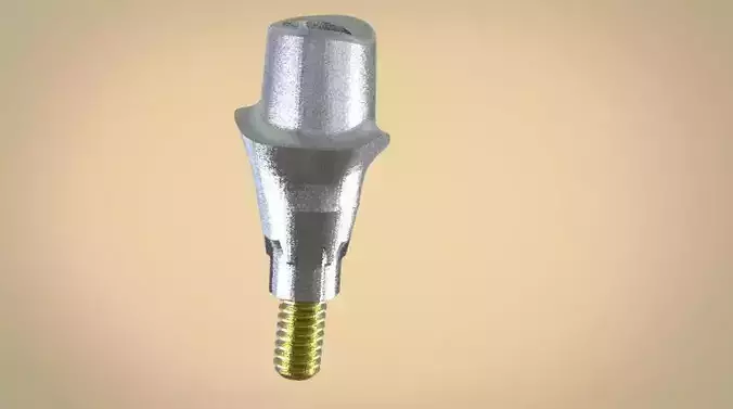 Digital Customised  Abutment  3D print model