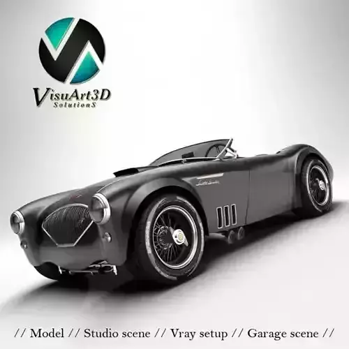 Austin Healey 1004 V8 custom