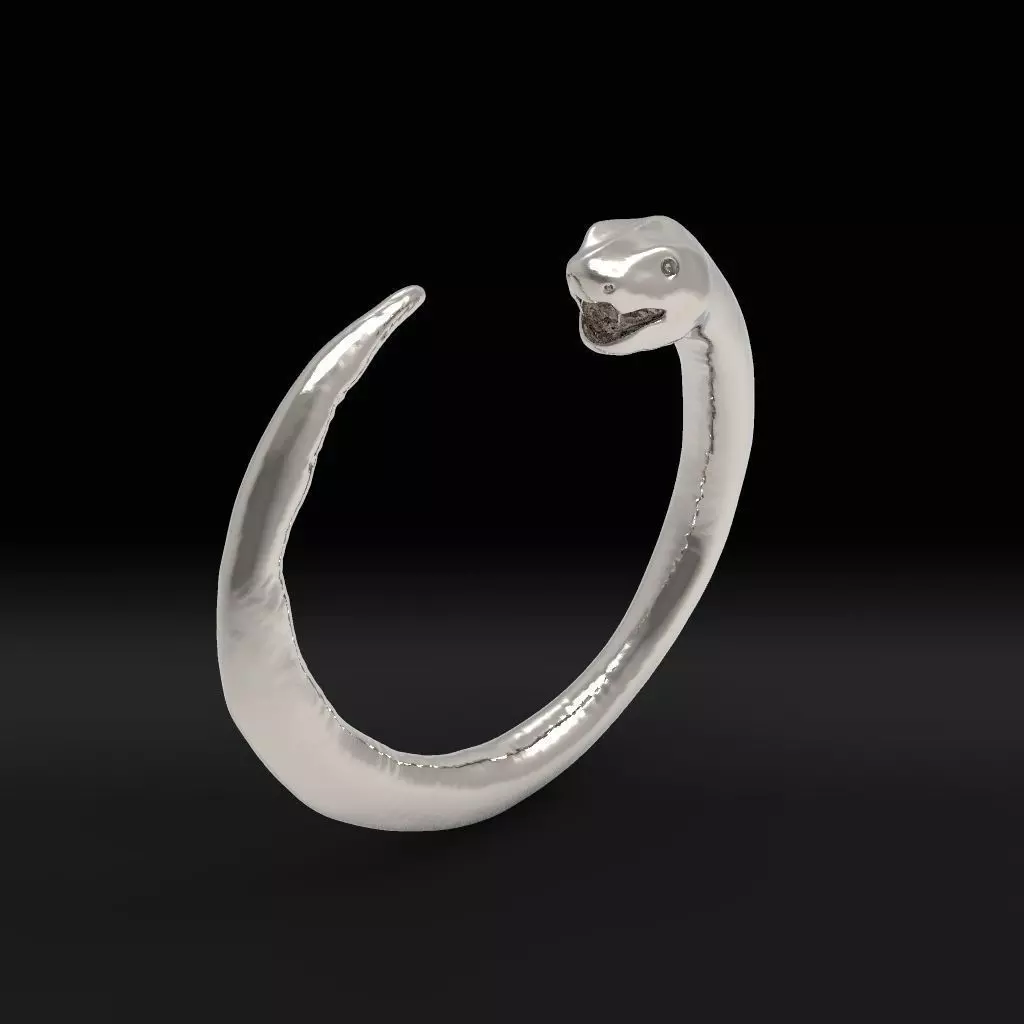 ring snake Free 3D print model