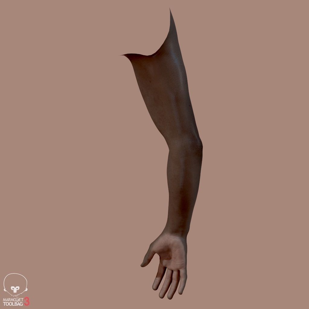 First Person Arms Low-poly 3D model_8