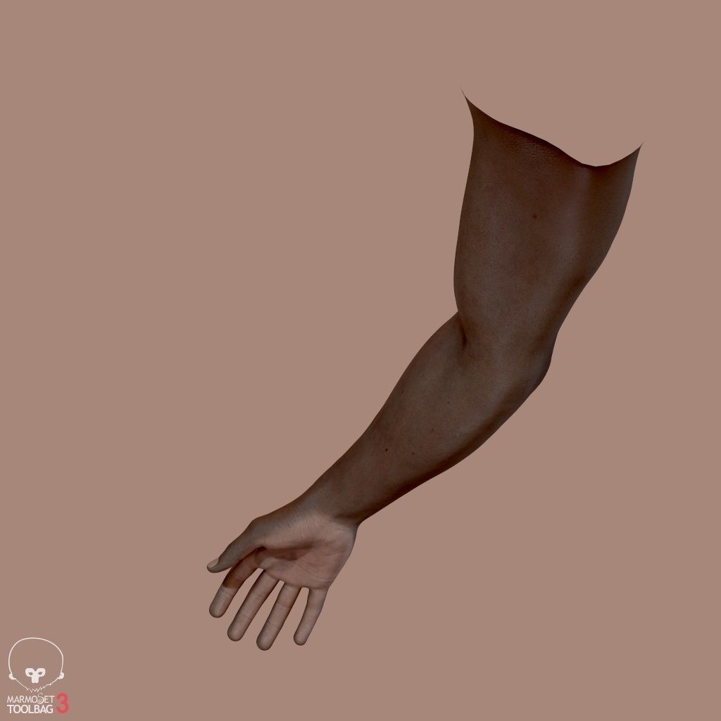 First Person Arms Low-poly 3D model_7