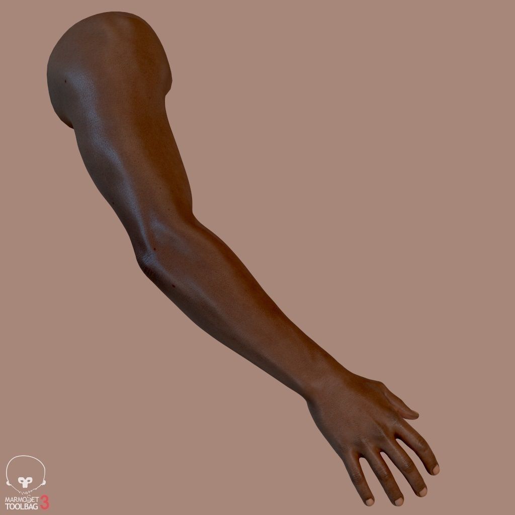 First Person Arms Low-poly 3D model_3