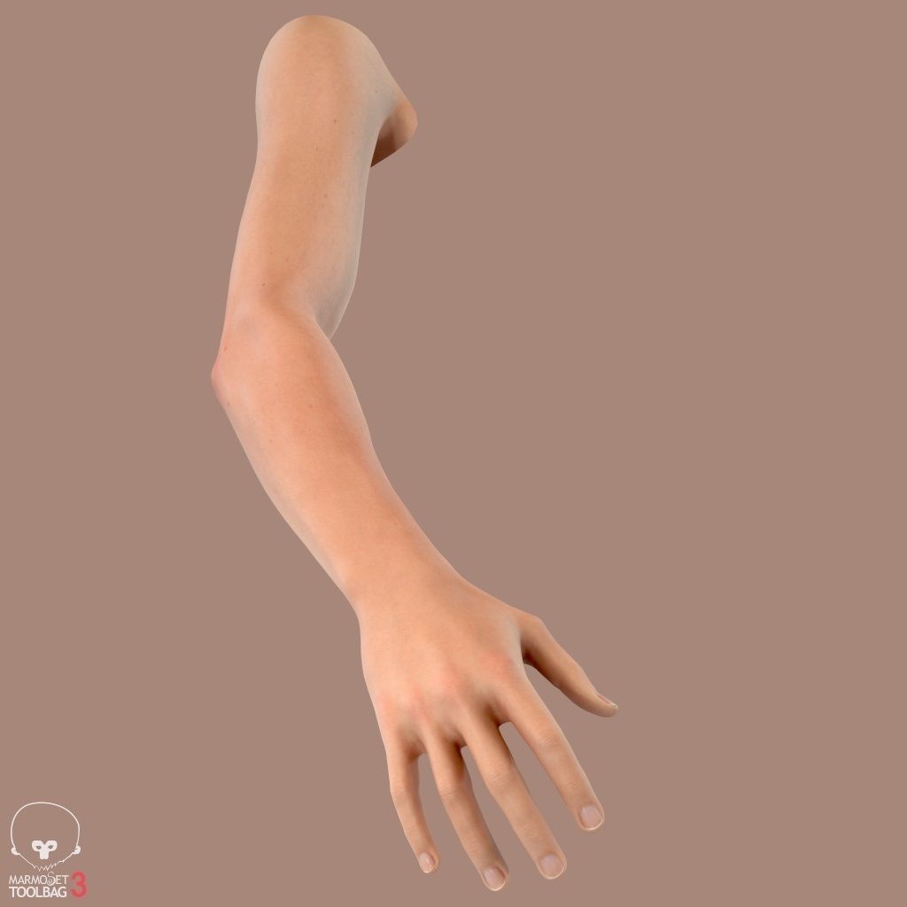 First Person Arms Low-poly 3D model_21