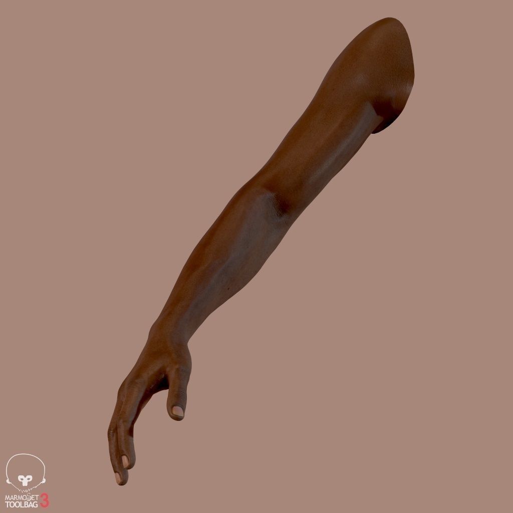 First Person Arms Low-poly 3D model_5