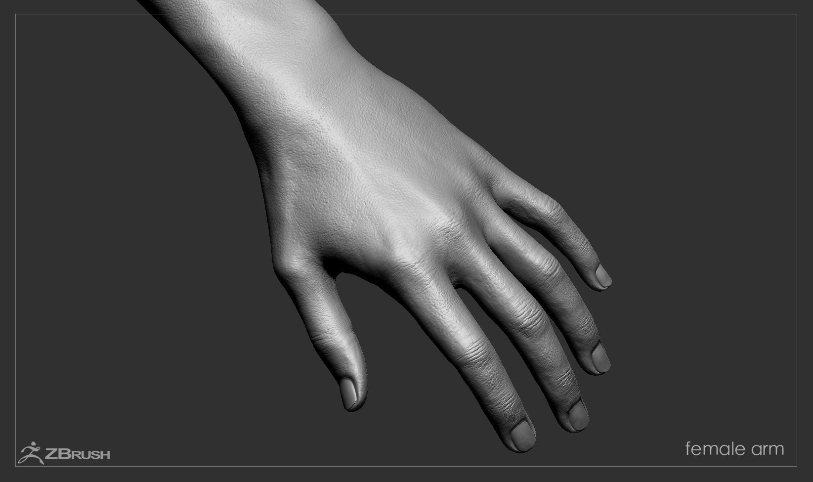 First Person Arms Low-poly 3D model_43