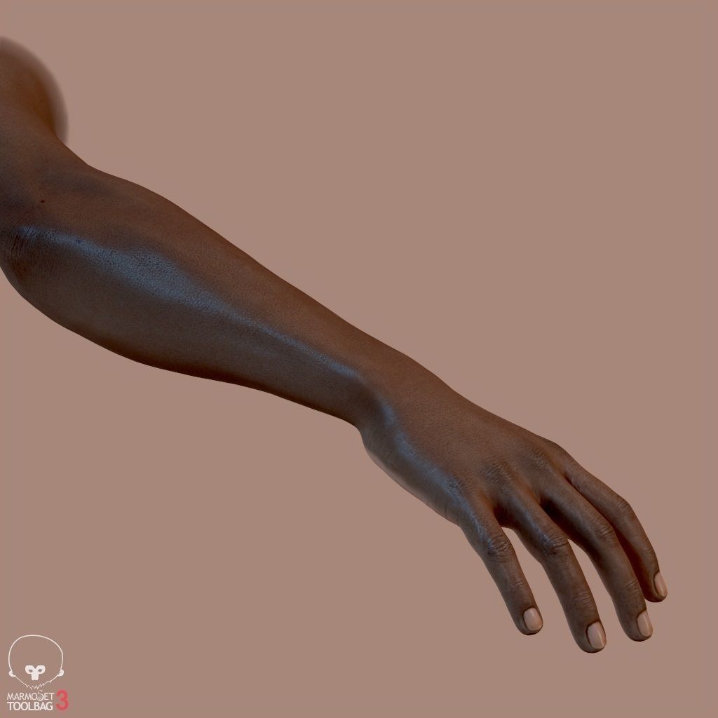 First Person Arms Low-poly 3D model_16