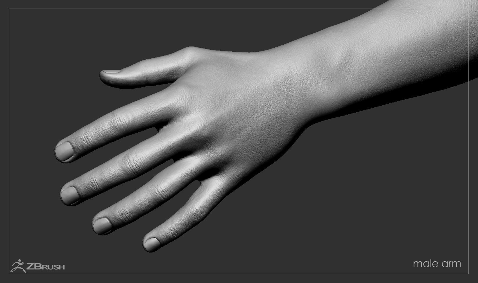 First Person Arms Low-poly 3D model_49