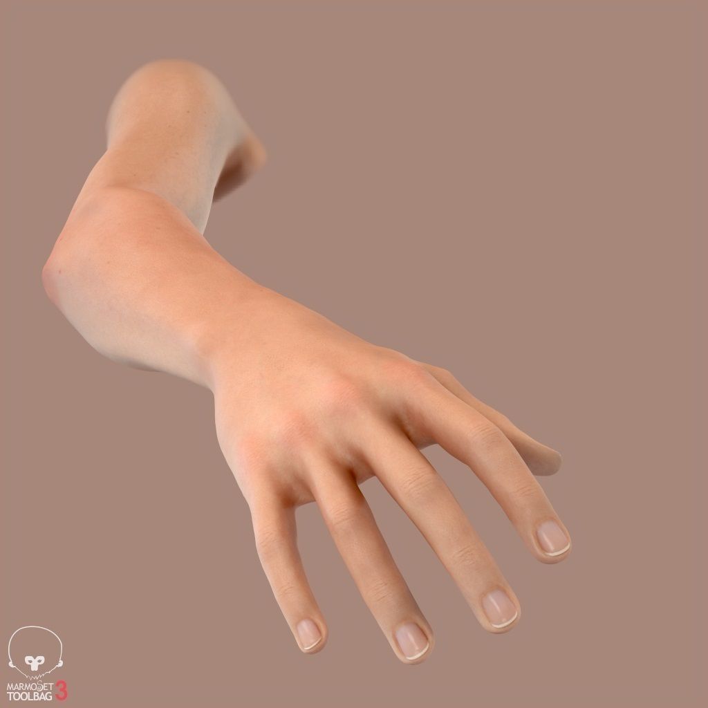 First Person Arms Low-poly 3D model_28