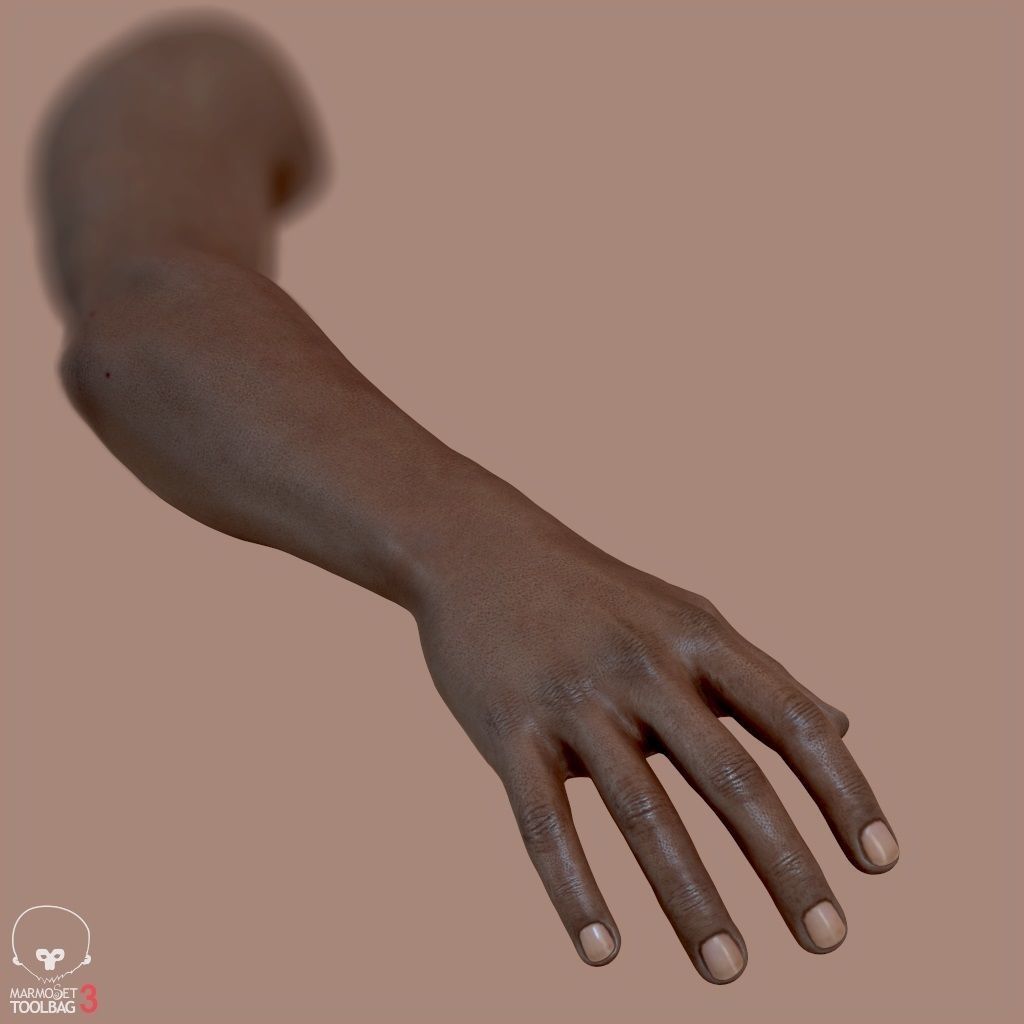 First Person Arms Low-poly 3D model_11