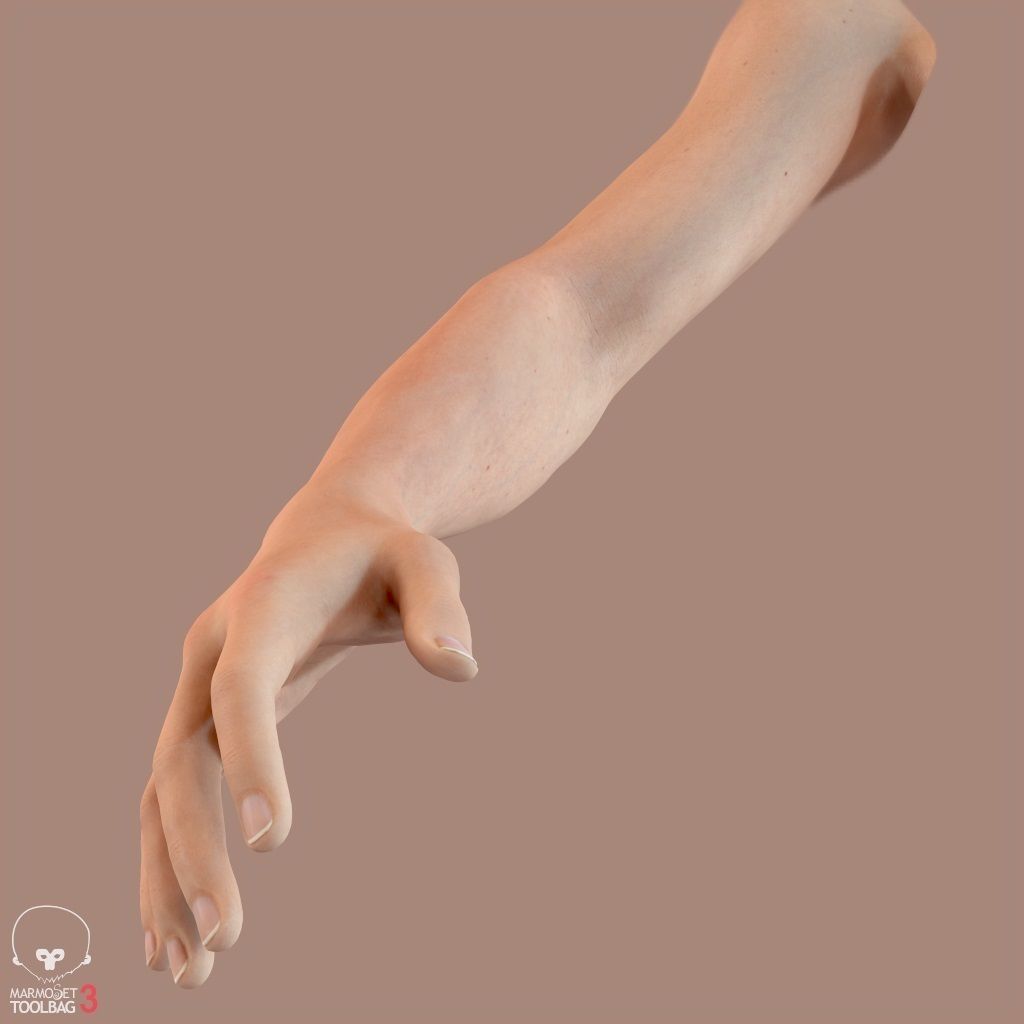 First Person Arms Low-poly 3D model_29