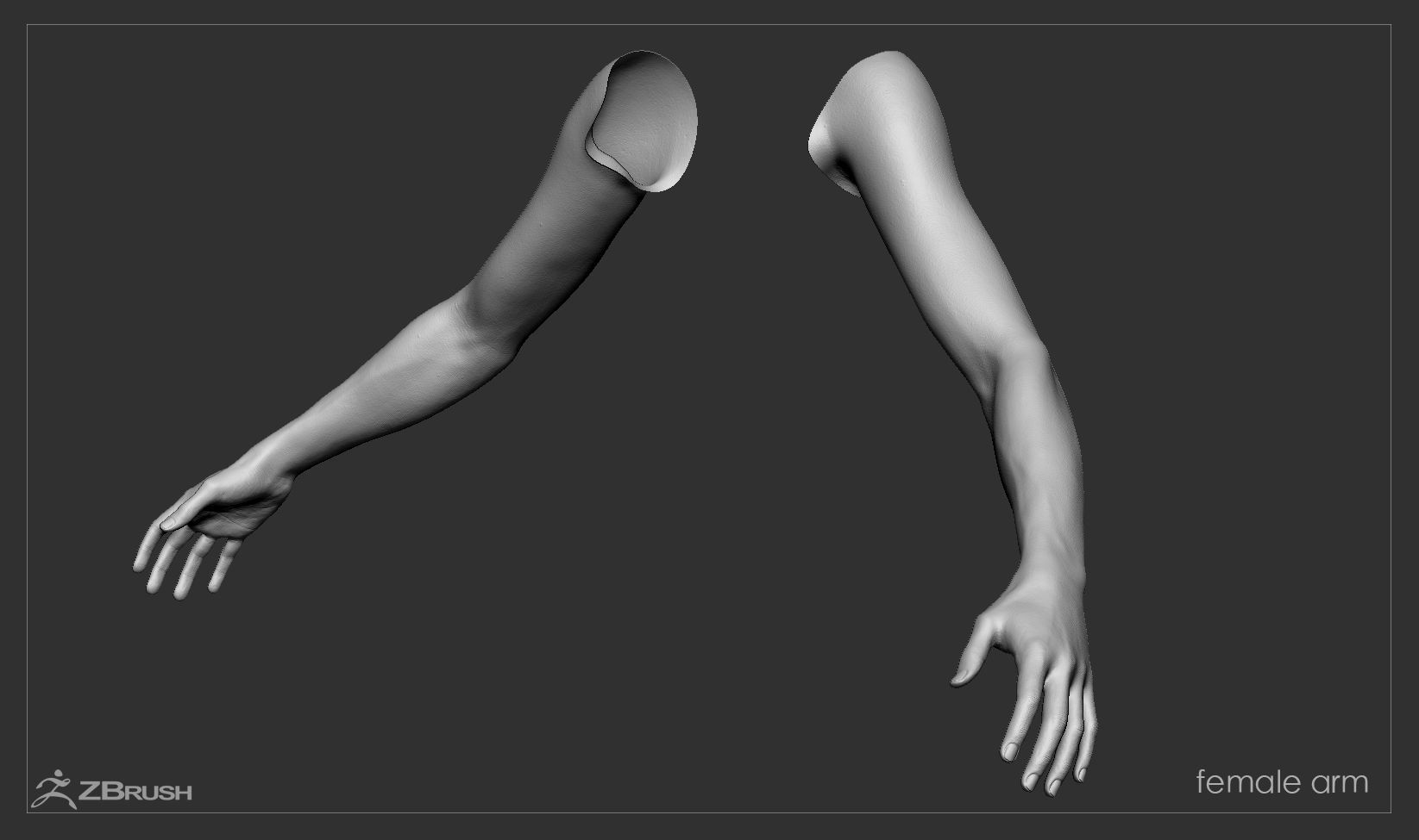 First Person Arms Low-poly 3D model_38