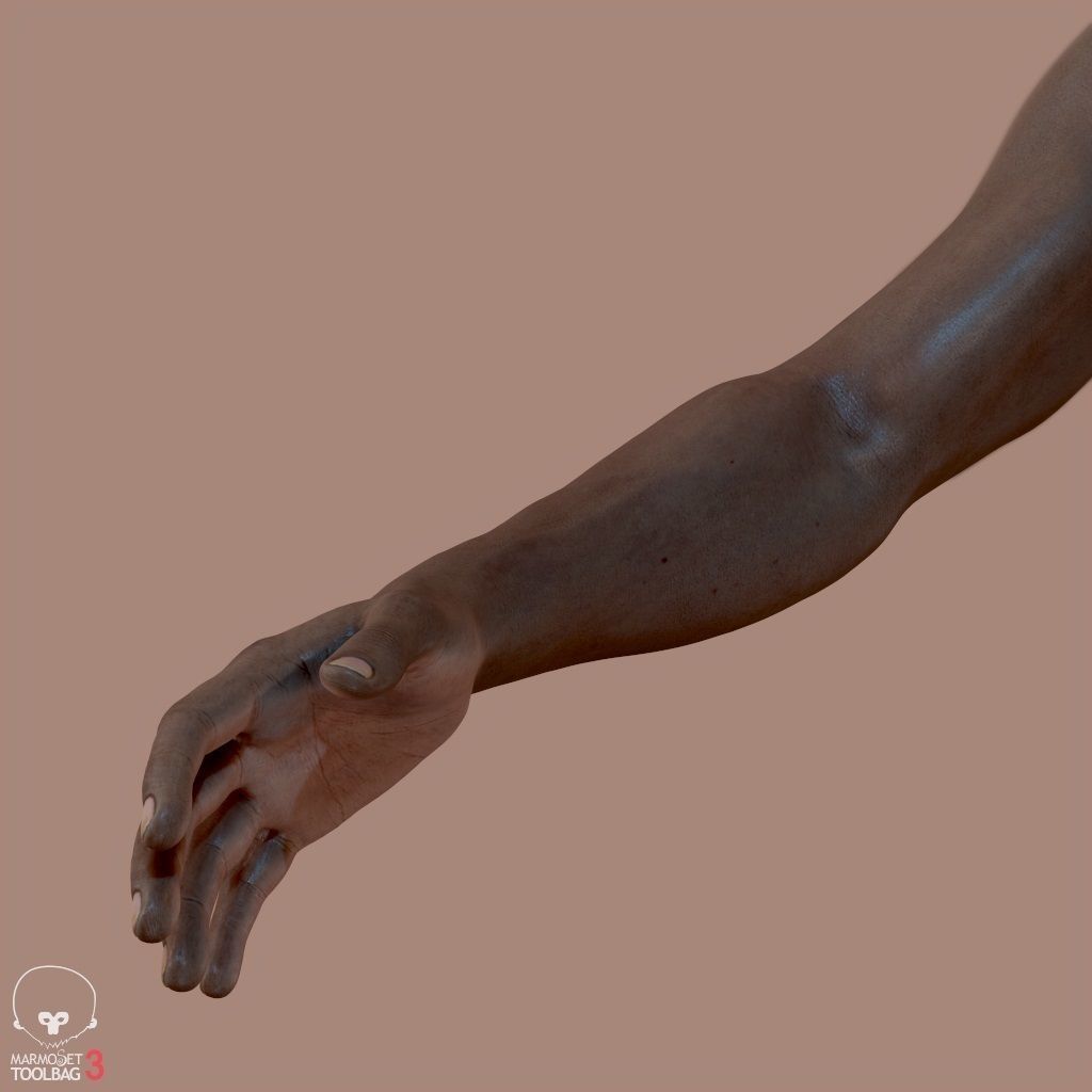First Person Arms Low-poly 3D model_13